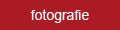 button fotogallerie